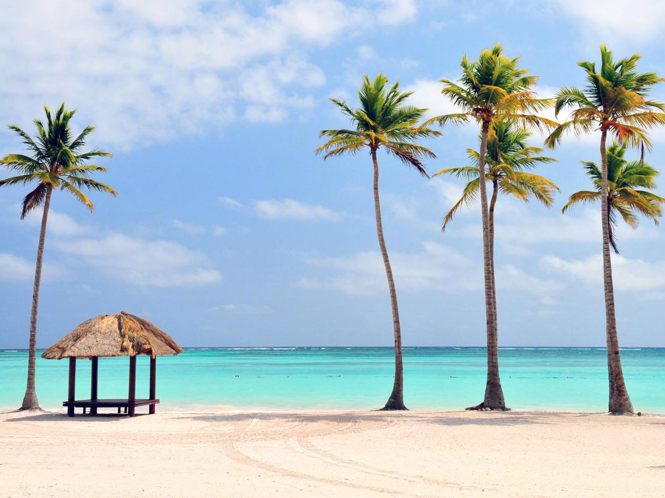 Praia de areia clara com coqueiros e mar turquesa no Caribe